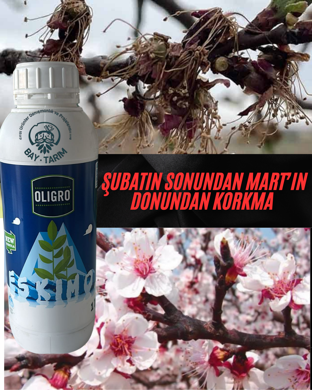 ESKİMO