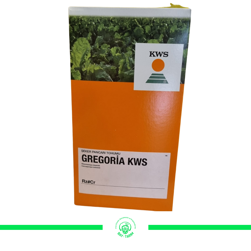 GREGORİA KWS Pancar Tohumu