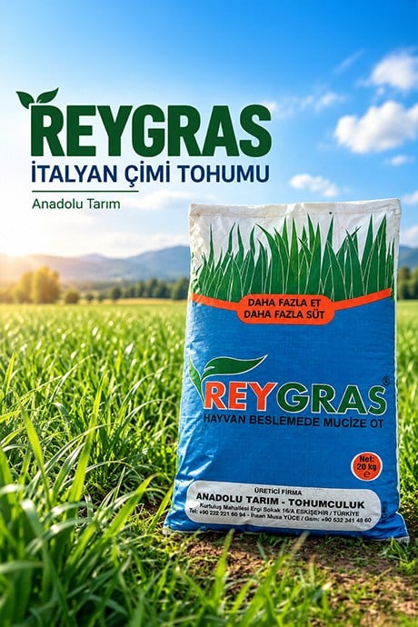Reygras Yem Bitkisi Tohumu (Süt Otu) 20 kg