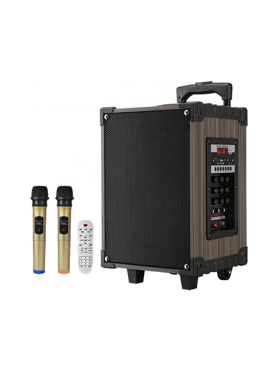 LT-910 2 Mikrofonlu Kablosuz Şarjlı Hoparlör