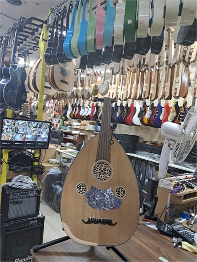 MAUN AĞACI FLATOLU KANADA KAPAK PROFESYONEL BAŞLANGICI UD KOD9184