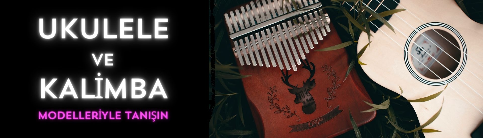 UKULELE VE KALİMBA 
