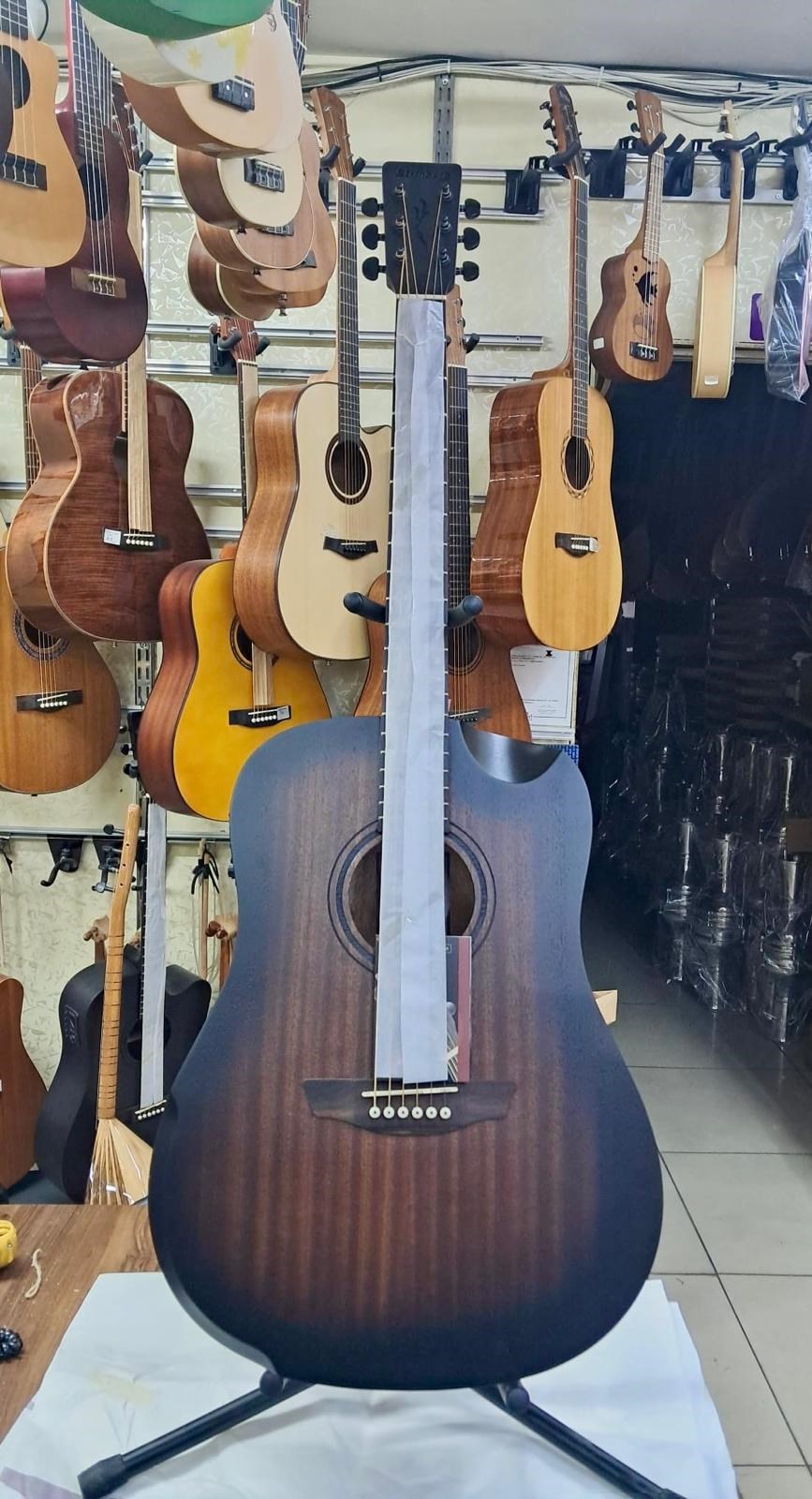 Strinberg Elektro Akustik Gitar Şekilli Kasa