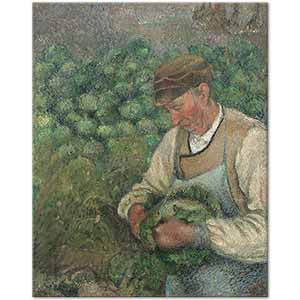 Camille Pissarro The Gardener, Old Peasant with Cabbage Art Print