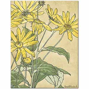 Hannah Borger Overbeck Sunflowers Art Print