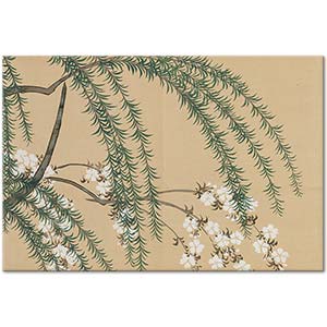 Kamisaka Sekka Willow and Cherry (Yanagizakura) Art Print
