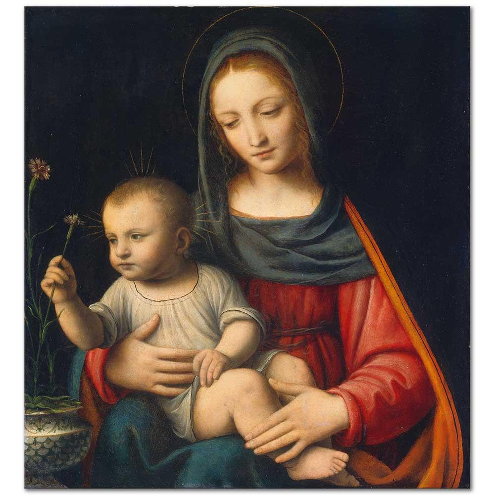 The Madonna of the Carnation by Bernardino Luini Art Print | CANVASTAR