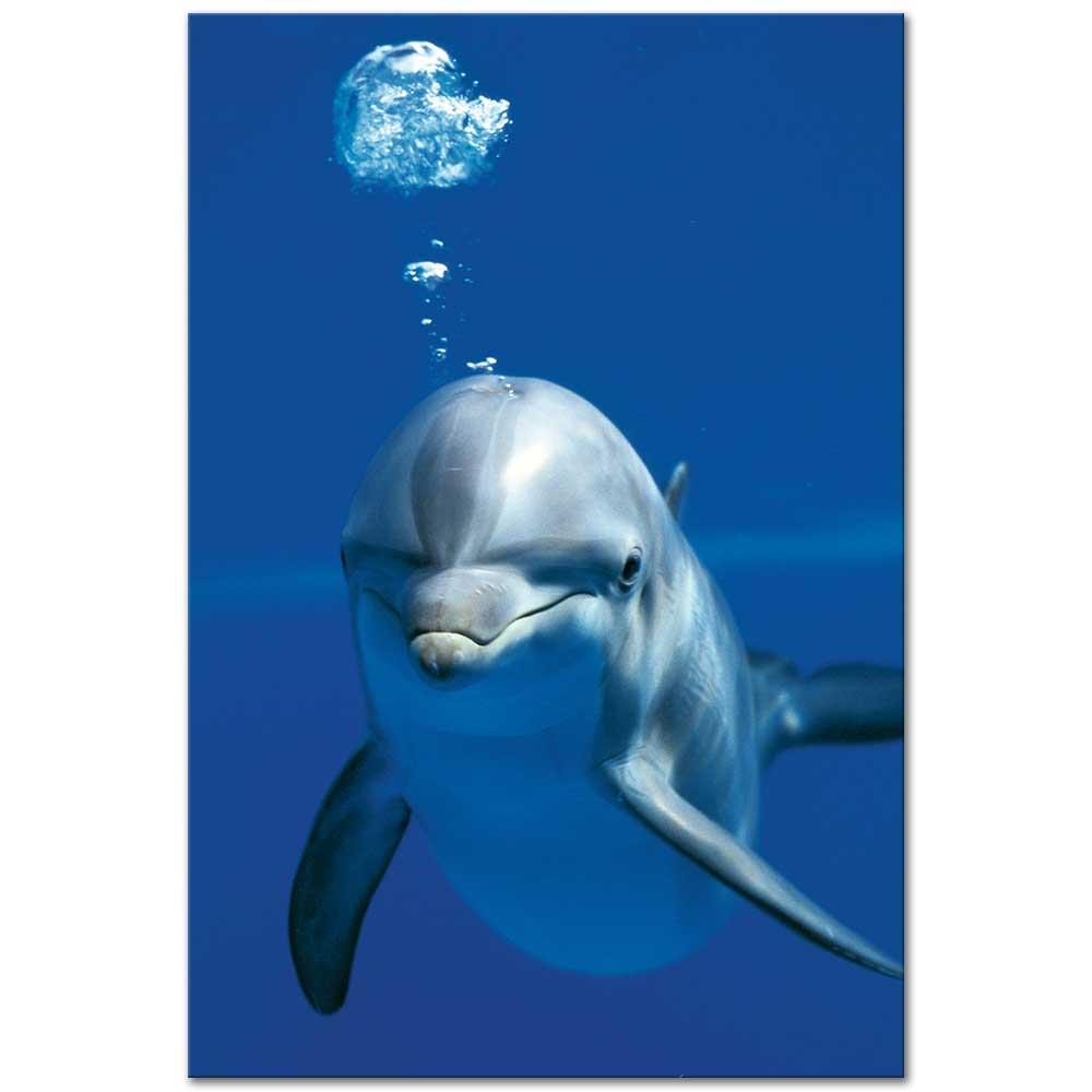Dolphins Dream as Art Print | CANVASTAR ®