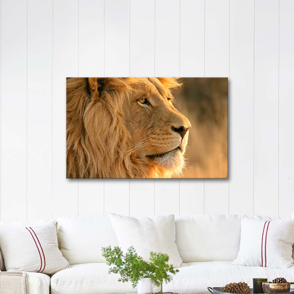 Lion Watching Art Print | CANVASTAR