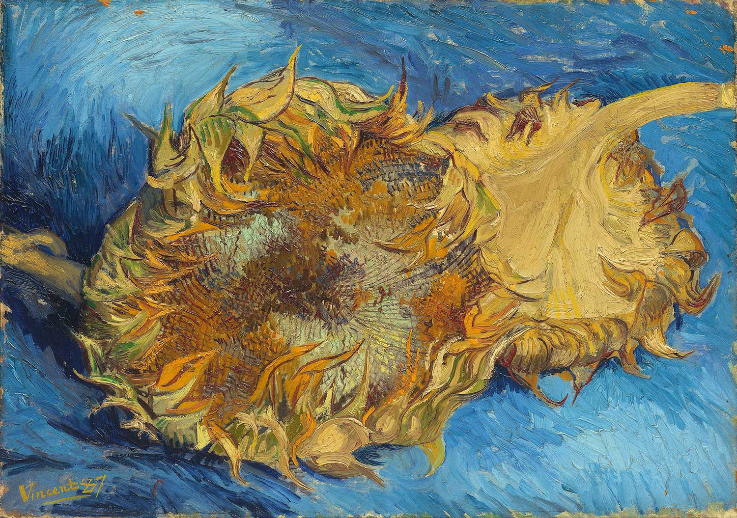 Vincent van Gogh Ayçiçekleri Kanvas Tablo