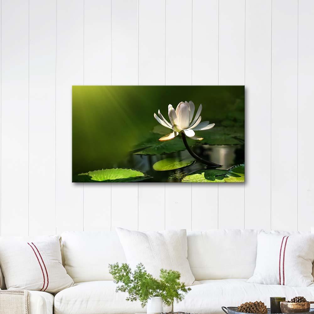 White Lotus Flower as Art Print | CANVASTAR