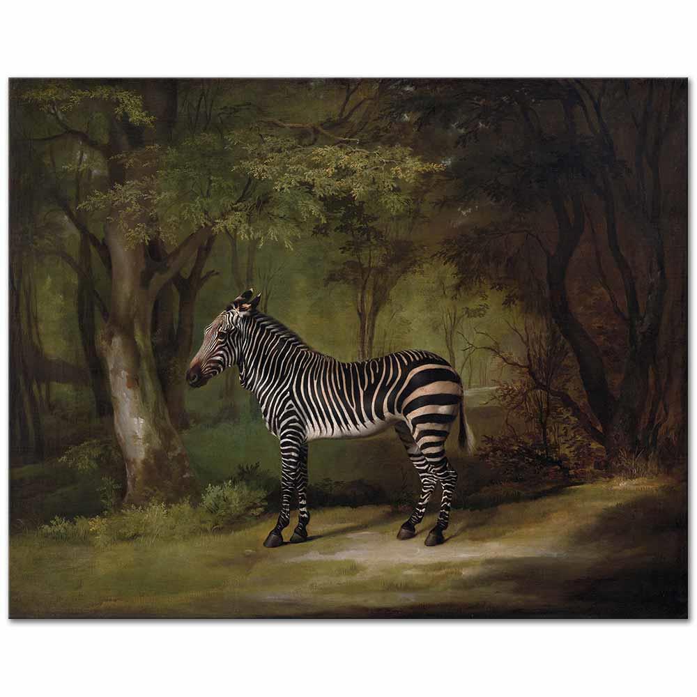 George Stubbs Zebra Kanvas Tablo | CANVASTAR ®
