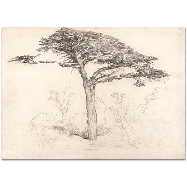 Samuel Palmer Old Cedar Tree in Botanic Garden, Chelsea Art Print