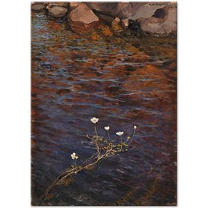 Eero Järnefelt Pond Water Crowfoot Art Print