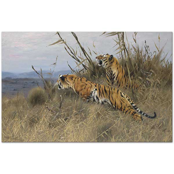 Wilhelm Kuhnert Tigers on the Prowl Art Print