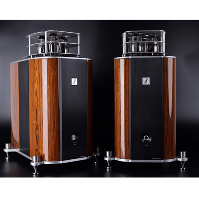 FJORD AUDIO P150 Lambalı Mono Güç Amplifikatörü