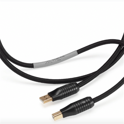 SHUNYATA THETA USB Kablo