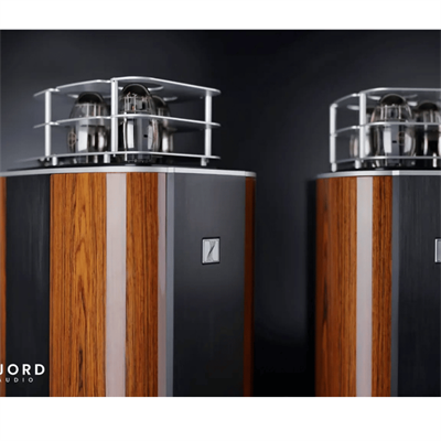 FJORD AUDIO P150 Lambalı Mono Güç Amplifikatörü