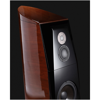 USHER TD-10 GLOSSY EBONY Kule Hoparlör