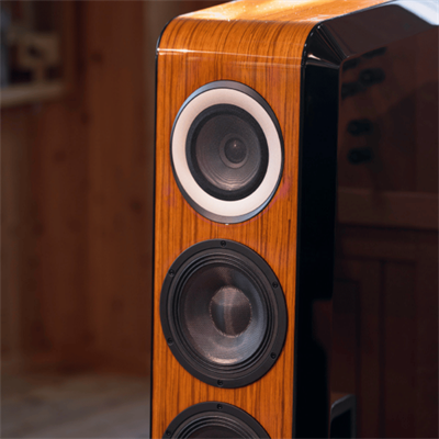 TAD Grand Evolation ONE TAD-GE1 WN Kule Hoparlör