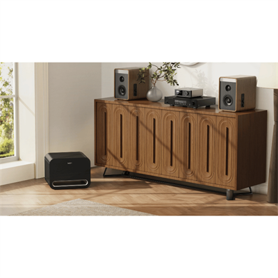 Wiim SUB Pro Subwoofer