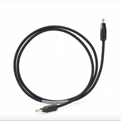 SHUNYATA THETA USB Kablo