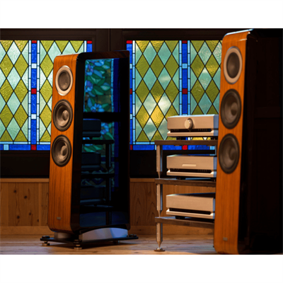 TAD Grand Evolation ONE TAD-GE1 WN Kule Hoparlör