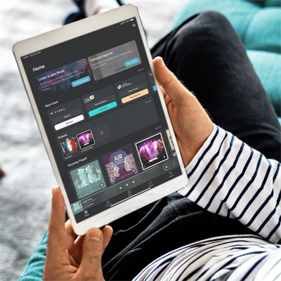 Bluesound  NODE132 Network Player & DAC