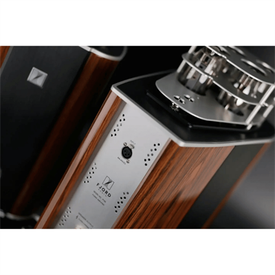 FJORD AUDIO P150 Lambalı Mono Güç Amplifikatörü