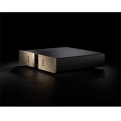 Vitus Audio RP-102 Pikap Yükselteci