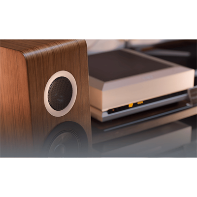 TAD Evolution TWO TAD-E2 Kule Hoparlör