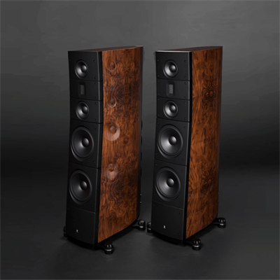 Raidho TD 3.10 Kule Hoparlör Yeni 