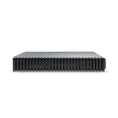 Naim CI-NAP 101 Proje Güç amplifikatörü