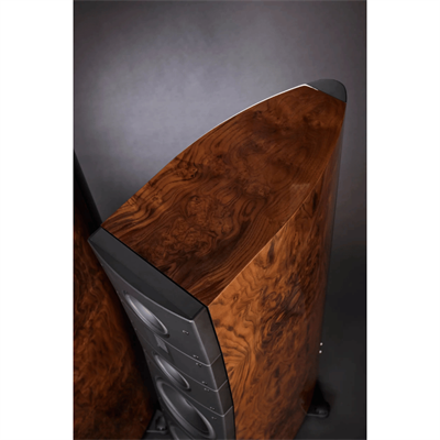 Raidho TD 3.10 Kule Hoparlör Yeni 