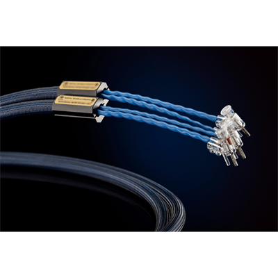 Siltech ROYAL SINGLE CROWN SSP009 silver-gold spade Sonlandırılmış Hoparlör Kablosu