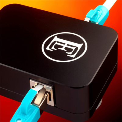 Chord EE 1 PLUS Network Düzenleyici