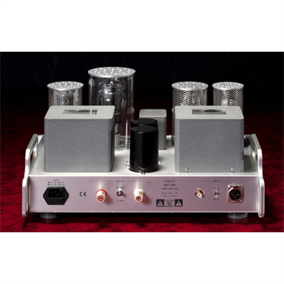 Allnic Audio A 5000 DHT Lambalı Mono Güç Amplifikatörü