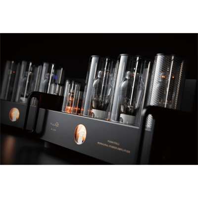 Allnic Audio M 2500 Lambalı Mono Güç Amplifikatörü