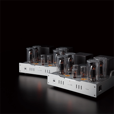 Allnic Audio M 3000 MK3 Lambalı Mono güç Amplifikatörü