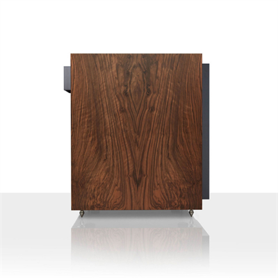 ATC C4 Sub Mk2 Subwoofer