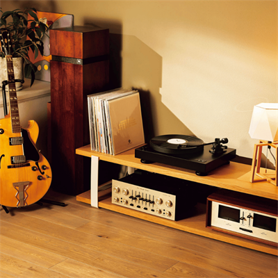 Audio Technica AT LP8X Direct Drive Pikap