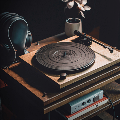 Audio Technica AT LPW40WN Pikap