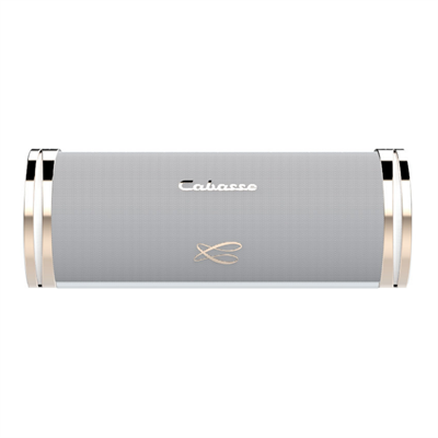 Cabasse SWELL Taşınabilir Şarjlı Bluetooth Hoparlör