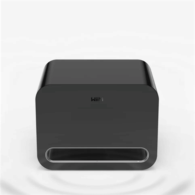 Wiim SUB Pro Subwoofer