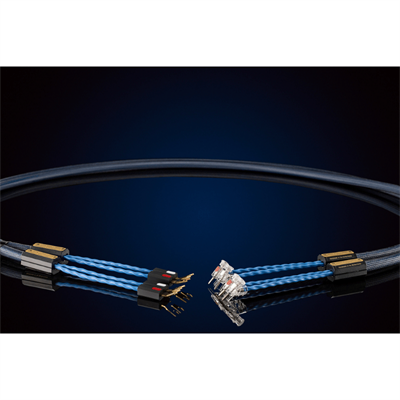 Siltech ROYAL SINGLE CROWN SSP009 silver-gold spade Sonlandırılmış Hoparlör Kablosu