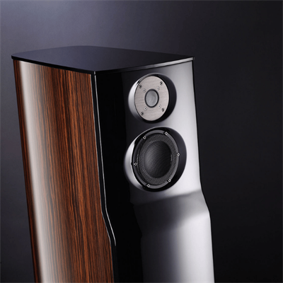 USHER ML-801 HIGH GLOSS MACASSAR EBONY Kule Hoparlör