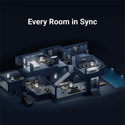 Wiim SOUND Kablosuz Wifi Hoparlör