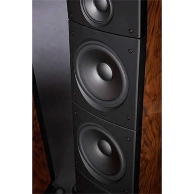 Raidho TD 3.10 Kule Hoparlör Yeni 