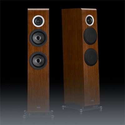 TAD Evolution TWO TAD-E2 Kule Hoparlör