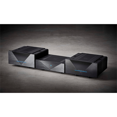 Gryphon Essence Mono Güç Amplifikatörü Çift Fiyatıdır